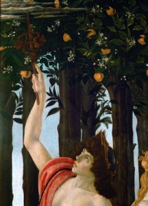 De Lente door Sandro Botticelli
